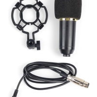 Микрофон конденсаторный Music Life золотой: кабель, ветрозащита, стойка