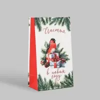 Пакет подарочный без ручек &laquo;Счастья в Новом году&raquo;, 10&times;19.5&times;7 см