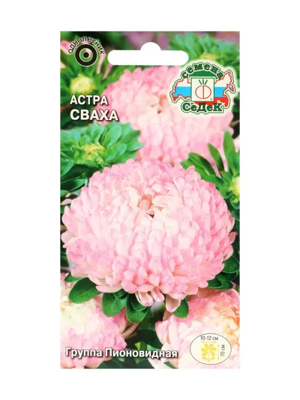 Набор семян Астра "Сваха , 5 шт.