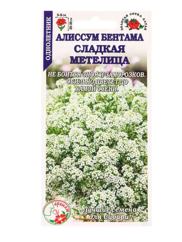 Семена Алиссум Сладкая метелица/Сотка/ 0,1г /*1500