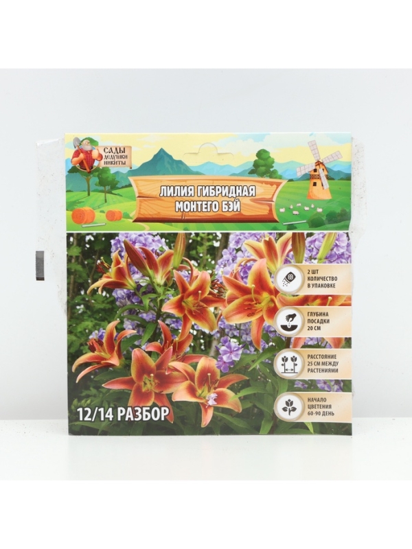 Лилия гибридная &laquo;Монтего Бэй&raquo;, луковица в пакете с перфорацией, р-р 14/16, 2 шт.