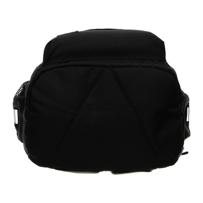 Рюкзак молодёжный, школьный, 41&times;28&times;15 см, эргономичная спинка, Stavia &laquo;Реалист&raquo; чёрный