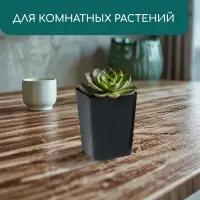 Горшок для рассады, 800 мл, d=9 см, h=12.5 см, пластик, МИКС, Greengo