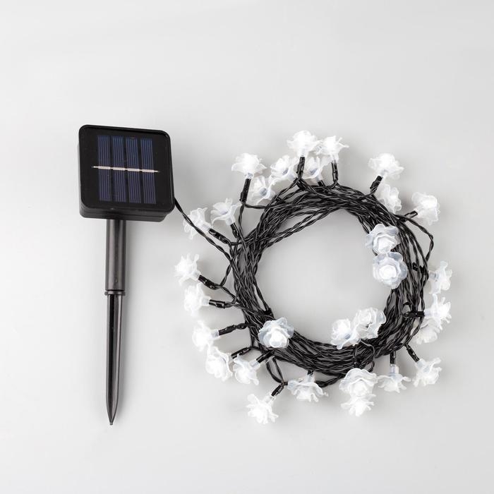 Гирлянда &laquo;Нить&raquo;, 4.5 м, с насадками в виде роз, IP44, 30 LED, 2 режима, солнечная батарея, тёмная нить, свечение синее/фиолетовое/розовое