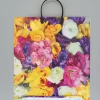 Пакет "Весенний букет", полиэтиленовый с пластиковой ручкой, 38 х 45 + 3 см, 90 мкм