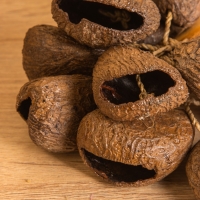 Сувенирный музыкальный инструмент &laquo;Маракас с орехами фруктового дерева&raquo;, 12&times;12&times;23 см