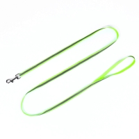 Комплект со светоотражающей лентой, ошейник 120 х 1 см, ОГ 26-40 см, зеленый