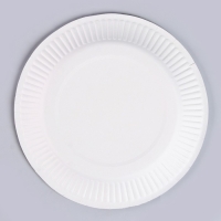 Набор бумажной посуды одноразовый Волшебного дня рождения!&raquo;: 6 тарелок, 6 стаканов