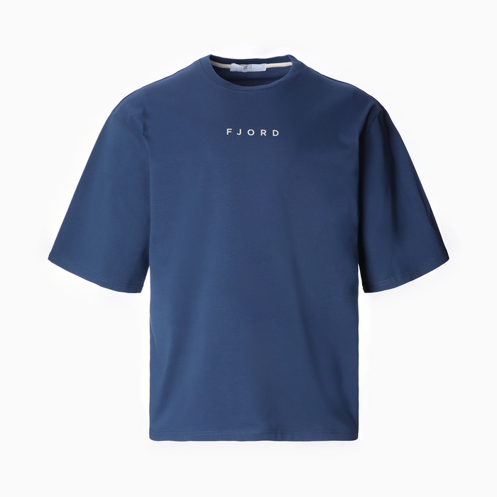 Футболка мужская MIST Fjord, размер 54, синий