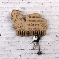 Ключница (5) "Не делай умное лицо…, 13,5х18 см Ключница (5) "Не делай умное лицо…, 13,5х18 см
