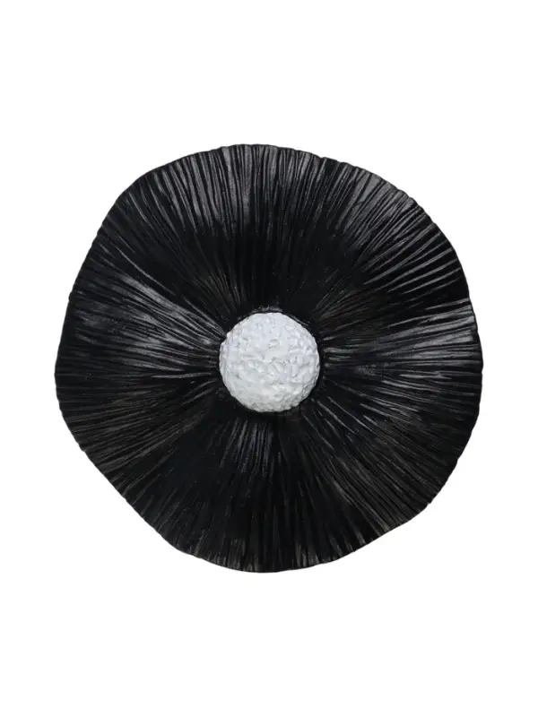 Крючок для штор CAPPIO KS036, d=9.5 мм, цвет черный, 2 шт