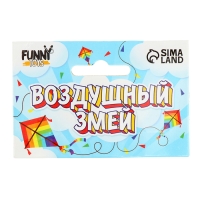 Воздушный змей &laquo;Дракончики&raquo;