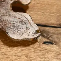 Сувенир "Геккон" албезия 35х20х6 см