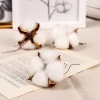 Декор сухоцвет &laquo;Хлопок&raquo;, d=5 см, белый