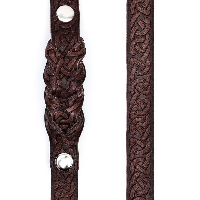 Поводок кожаный однослойный длинный, 2 м х 2 см, коричневый Поводок кожаный однослойный длинный, 2 м х 2 см, коричневый