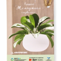 Кашпо "Жемчужина" подвесное 7л, графитовый