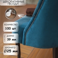 Гвозди ТУНДРА, декоративные, обивочные, 25х39 мм, хром, 100 шт Гвозди ТУНДРА, декоративные, обивочные, 25х39 мм, хром, 100 шт