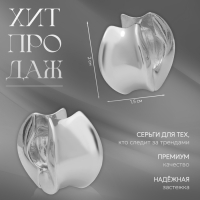 Серьги металл &laquo;Аккорд&raquo; круг вогнутый, цвет серебро