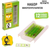 Набор для опытов &laquo;Набор микропрепаратов&raquo;, растения