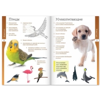 Набор книжек-шпаргалок «Мир природы и человека», 6 шт. Набор книжек-шпаргалок «Мир природы и человека», 6 шт.