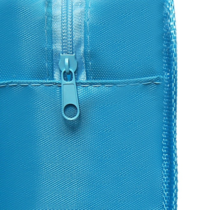 Папка с ручками пластиковая А4 Calligrata "Аниме", 32,2х25,6х7 см,