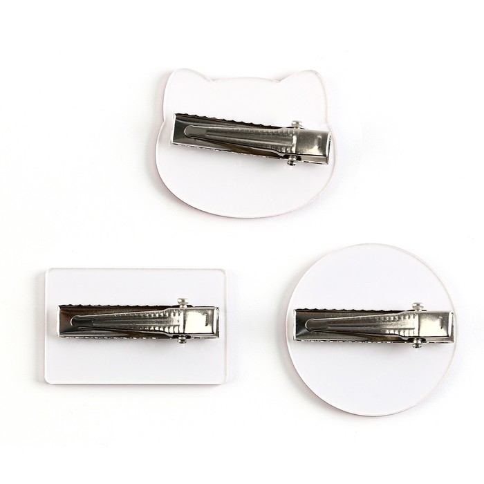 Заколки для волос &laquo;Самая необыкновенная&raquo; с наклейками, 8.5 х 13 см