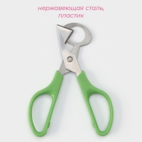 Ножницы для перепелиных яиц Доляна, 14&times;6 см, цвет зелёный