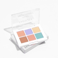 Палетка консилеров Hidden Treasure, 6 оттенков Палетка консилеров Hidden Treasure, 6 оттенков