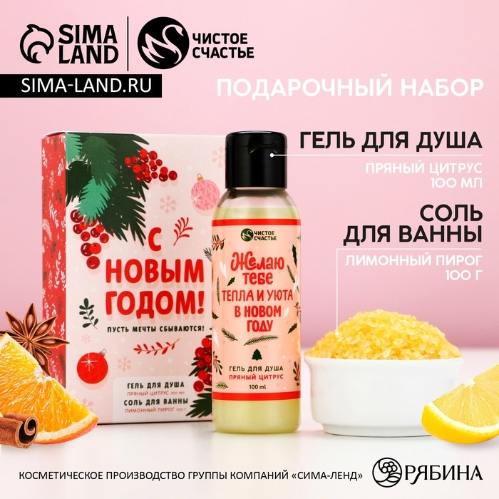 Подарочный набор косметики &laquo;С Новым Годом&raquo;, гель для душа 100 мл и соль для ванны 100 г, аромат пряного цитруса, ЧИСТОЕ СЧАСТЬЕ