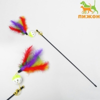 Дразнилка-удочка с пластиковым шариком и перьями, микс цветов Дразнилка-удочка с пластиковым шариком и перьями, микс цветов