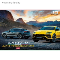 Альбом для рисования А4, 40 листов, на скрепке, "Ассорти", обложка мелованный картон, блок 100 г/м&sup2;, МИКС