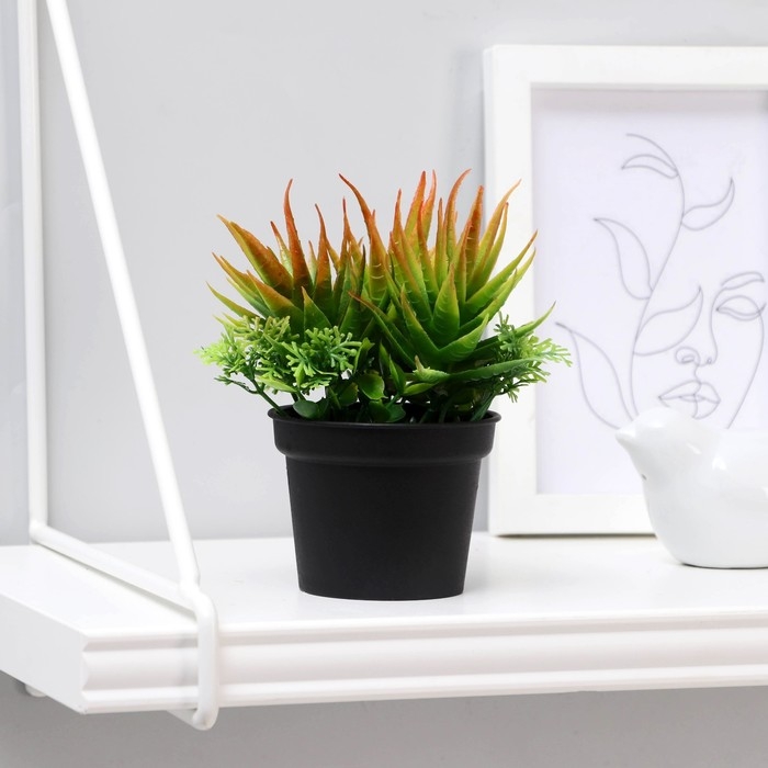 Бонсай в горшке Бонсай в горшке "Суккуленты" 6,5х11 см, микс