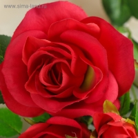 Цветы искусственные "Розочки кустовые" 8х65 см, красный Цветы искусственные "Розочки кустовые" 8х65 см, красный