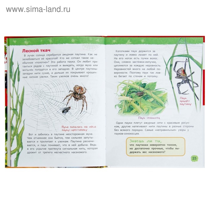 Энциклопедия для детского сада &laquo;В лесу&raquo;