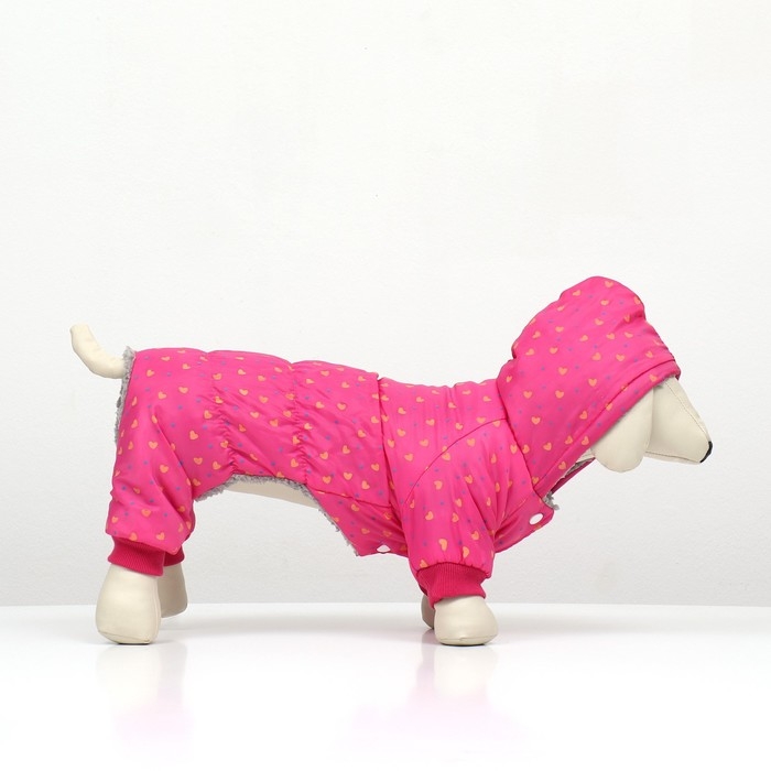 Комбинезон Комбинезон "нежный путь" на меховом подкладе, размер XL (ДС 40, ОШ 40, ОГ 50 см), розовый