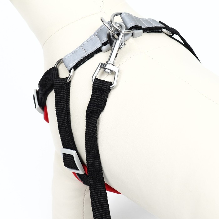 Комплект Sport+, S, поводок 120 x1 ,5 см, ОШ 39-41 см, ОГ 44-48 см, вес животного 7-13 кг, чёрный 9 Комплект Sport+, S, поводок 120 x1 ,5 см, ОШ 39-41 см, ОГ 44-48 см, вес животного 7-13 кг, чёрный 9