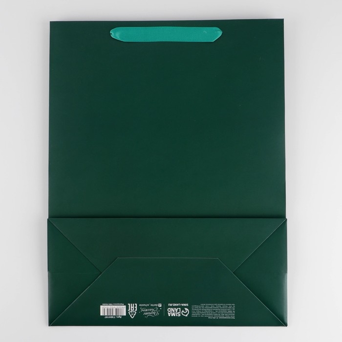 Пакет подарочный ламинированный, упаковка, &laquo;Изумрудный&raquo;, L 31 х 40 х 11.5 см