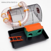 Клетка для грызунов "Саквояж", малая, с лабиринтом, 40 х 25 х 21 см, микс цветов Клетка для грызунов "Саквояж", малая, с лабиринтом, 40 х 25 х 21 см, микс цветов