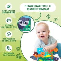 Книжка-шуршалка &laquo;Лесные животные&raquo;