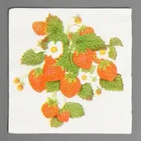 Салфетки бумажные Гармония цвета многоцветие "Земляника", 24*24 см 50 листов