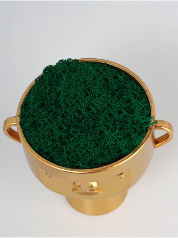 Кашпо пластиковое "Чаша" 10,5*9*11,5 см золото