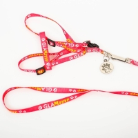 Комплект &laquo;Ты и я&raquo;, шлейка 26-39 см, поводок 120х1 см, медальон