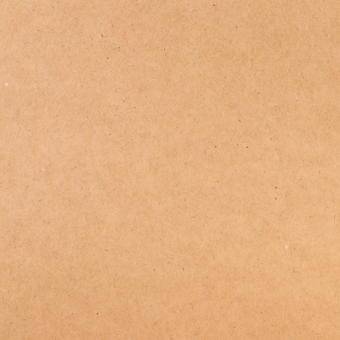 Картон для лекал, 0,2 мм &times; 114 см, 5 м, цвет бежевый