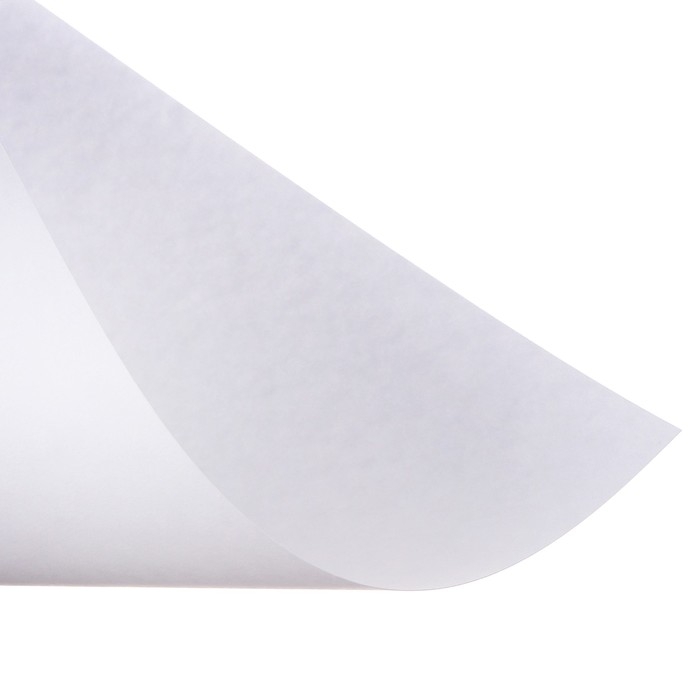 Набор ватманов чертёжных А3, 200 г/м&sup2;, 20 листов