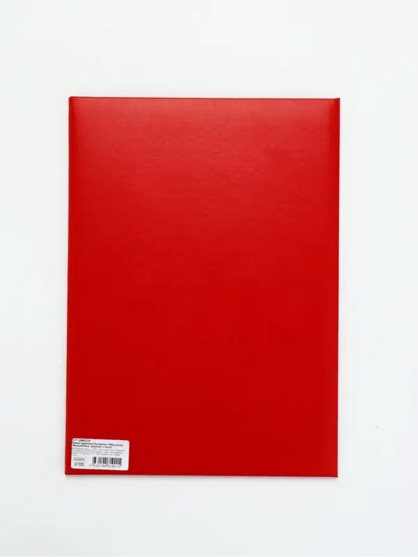 Папка адресная бумвинил А4 (пухлая) "Выпускнику" красная