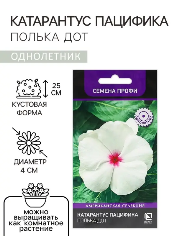 Семена цветов Катарантус Пацифика  "Полька Дот" 10 шт