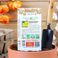 Семена цветов Алиссум "Золотая волна" скальный, серия Русский огород, Мн, 0,1 г