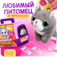 Игровой набор &laquo;Любимый питомец&raquo;, котик