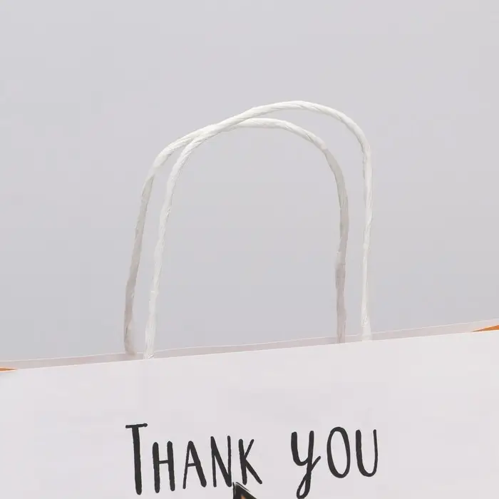 Пакет подарочный, упаковка, &laquo;Благодарю&raquo;, 22 х 22 х 11 см