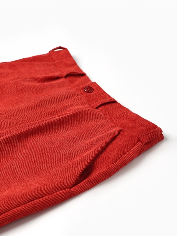 Брюки мужские (1), MINAKU, цвет кирпичный, р-р 44